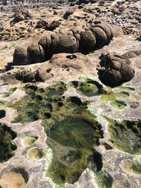 Un exemple de Paramoudras Un exemple de Paramoudras